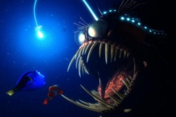 Media - Loài cá cực dị có khả năng săn mồi bằng "cần câu"