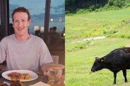 Kinh doanh - Tỷ phú Mark Zuckerberg chăn nuôi gia súc ở đảo Hawaii