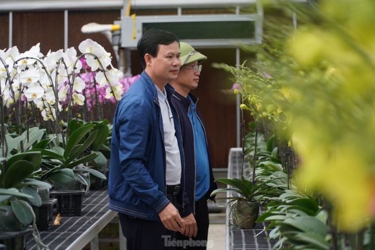 Ông chủ nơi đây cho biết: “Việc trồng lan ở Hà Tĩnh cũng gặp nhiều khó khăn do thời tiết quá khắc nghiệt nhưng chúng tôi rất vui khi hoa năm nay nở rất đẹp, khách đến chốt hàng liên tục. Dự kiến vụ hoa đầu tiên này sẽ đưa lại nguồn thu gần 8 tỷ đồng". Được biết, hiện 70% sản lượng hoa của vườn đã được bán sỉ cho những khách hàng tiềm năng ở các tỉnh, thành phố lớn.