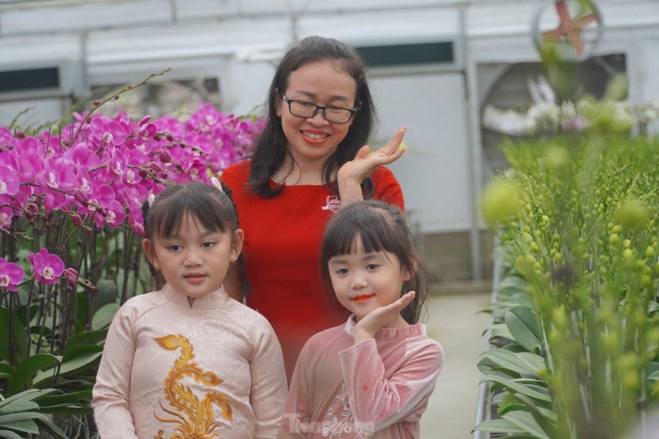 Một số gia đình đến tham quan, đặt mua hoa dịp Tết và check-in khoảnh khắc bên hoa lan.