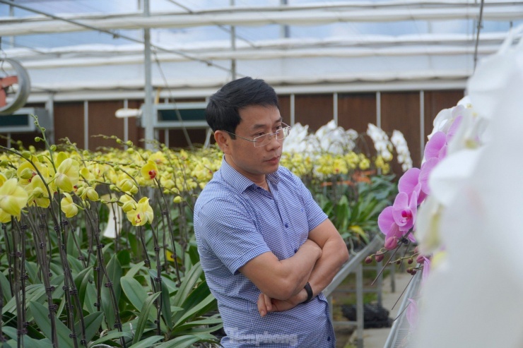 Một vị khách ở thành phố Hà Tĩnh đến tại vườn để chọn lựa hoa lan.