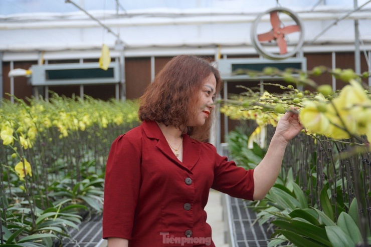Trước đó, Sở Khoa học và Công nghệ Hà Tĩnh hỗ trợ chuyển giao 2 quy trình công nghệ, gồm: Quy trình công nghệ ra ngôi vườn ươm cây hoa lan hồ điệp và quy trình công nghệ trồng, chăm sóc hoa lan hồ điệp thương phẩm.