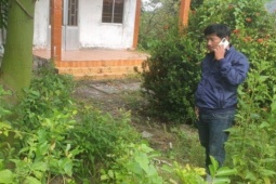 Tin tức trong ngày - Chủ đất cũ tự ý đào lấy 3 cây mai vì "bán đất, không bán mai"