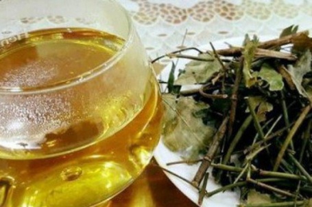 Loại thảo dược giúp đánh tan mỡ thừa, làm sạch mạch máu, người Việt nên dùng thường xuyên để phòng bệnh!