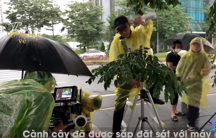 Cành cây được sắp đặt sát với máy quay khi diễn tả phân đoạn mưa bão to