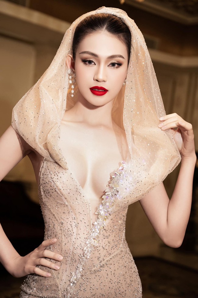 Minh Anh từng chia sẻ, cô tham gia các cuộc thi nhan sắc với mục đích truyền tải giá trị tri thức, nhân văn đến với cộng đồng.&nbsp;
