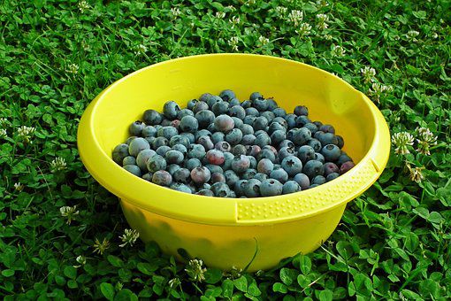 10 loại trái cây giúp giải độc gan cực hiệu quả - 9