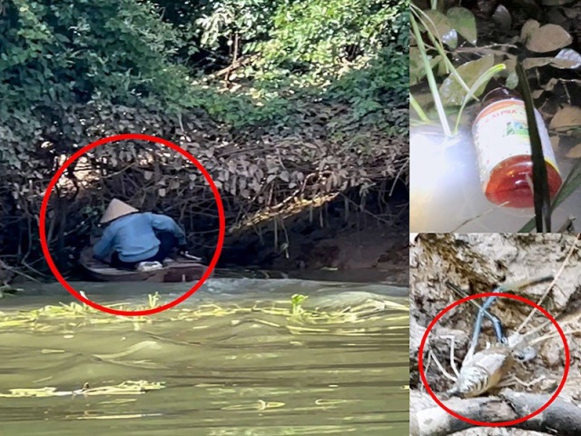 Tin tức trong ngày - Cách nào dẹp nạn đổ thuốc trừ sâu bắt tôm sông Đồng Nai?