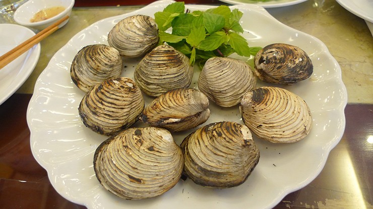 Ở vùng biển Quảng Ninh có một loại hải sản quý hiếm được được người dân địa phương sử dụng làm nhiều món ngon, đó là con ngán biển

