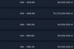 Tin tức trong ngày - Biển số Hà Nội được "chốt" mức giá kỷ lục