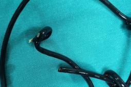 Lý do nam sinh lớp 12 nhét đoạn dây điện 26 cm vào "cậu nhỏ"