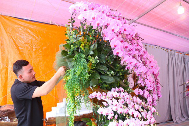 Những ngày này, trong các gian hàng bán hoa lan hồ điệp tại Nghệ An, thợ cắm hoa đang làm việc tất bật để phục vụ nhu cầu mua sắm hoa Tết của người dân. Để có những chậu lan hài hòa và đều màu, người thợ yêu cầu phải có thẩm mỹ tốt, khéo léo và sáng tạo.