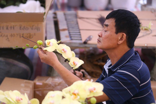 Thợ cắm hoa lan 'chạy sô' dịp Tết, thu nhập tiền triệu mỗi ngày - 8