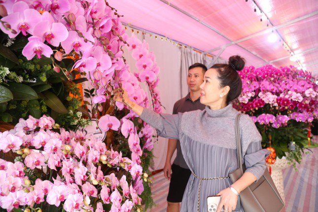 Thợ cắm hoa lan 'chạy sô' dịp Tết, thu nhập tiền triệu mỗi ngày - 12