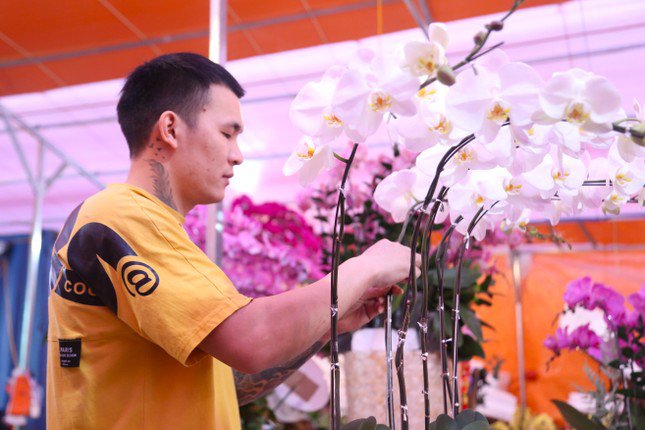 Thợ cắm hoa lan 'chạy sô' dịp Tết, thu nhập tiền triệu mỗi ngày - 4
