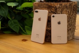 Thời trang Hi-tech - 2 mẫu iPhone tiền nhiệm vẫn được ưa chuộng vì vừa tốt, giá rẻ