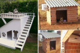 Tranh vui - Nhà của chó cưng "xịn" cỡ này cơ!