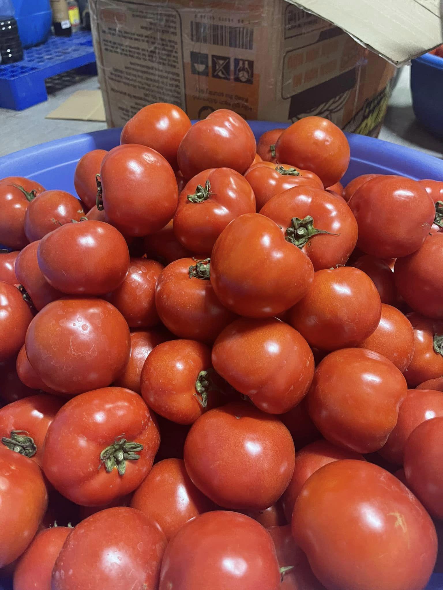 Cà chua hiện có giá bán rất rẻ, chỉ vài nghìn đồng/kg.