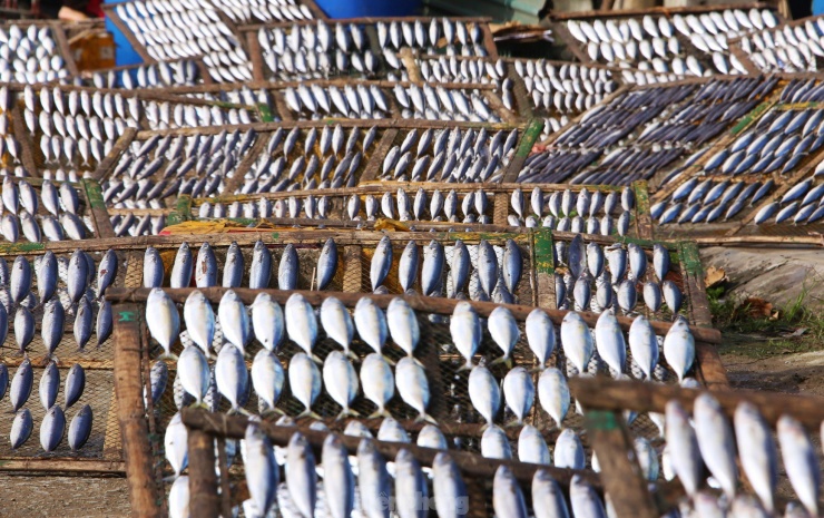 Người dân địa phương cho biết, là vùng gắn với nghề biển nên sản phẩm cá nướng gắn với người dân vùng biển xã Thạch Kim từ hàng chục năm nay. Ngày trước việc nướng cá đều thực hiện ở khu dân cư, nơi sinh sống nên ít nhiều ảnh hưởng môi trường, khói bụi. Khoảng 4-5 năm trở lại đây, khu vực nướng cá được chuyển về tập trung tại cụm công nghiệp chế biến hải sản của huyện.