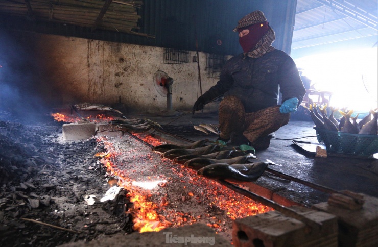 Những ngày cuối năm, làng nướng cá ở vùng biển xã Thạch Kim (huyện Lộc Hà – Hà Tĩnh) tất bật, đỏ lửa ngày đêm, làm việc không ngơi nghỉ để có đủ sản phẩm cá nướng phục vụ thị trường Tết Nguyên đán.