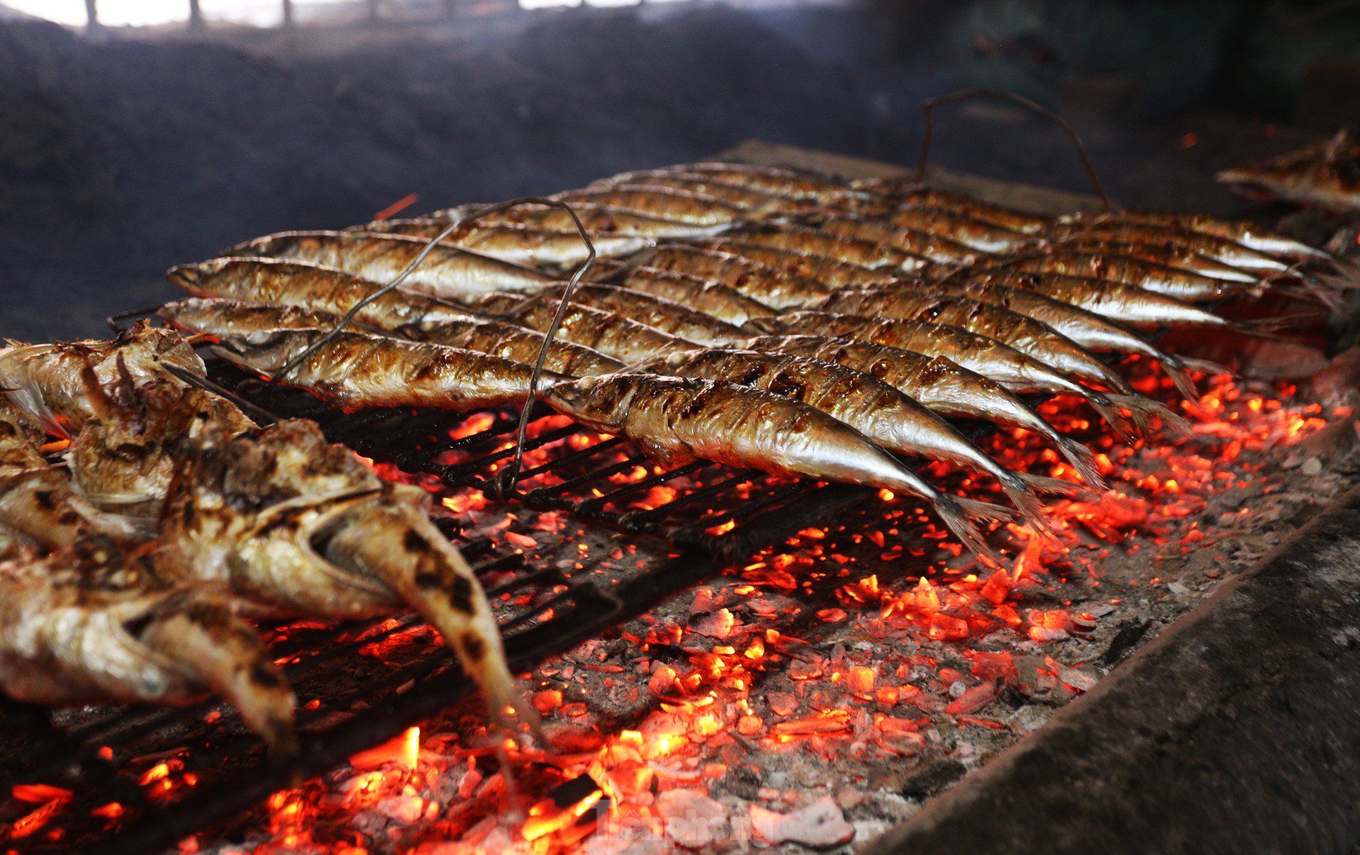 Mỗi mẻ cá nướng cần điều chỉnh lửa, than đỏ đủ độ trong khoảng 10-15 phút. Lúc thấy thân cá chín vàng đều, vảy hơi cháy sém, mỡ cá chảy ra, mùi thơm ngào ngạt.
