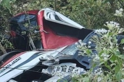 Pháp luật - Người đàn ông tử vong bất thường trong bụi cây ở Bình Dương