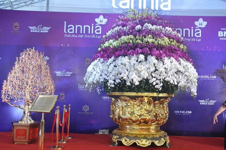Chậu lan hồ điệp dát vàng đắt nhất Việt Nam, chủ nhân “hét giá” 3,86 tỷ đồng - 12