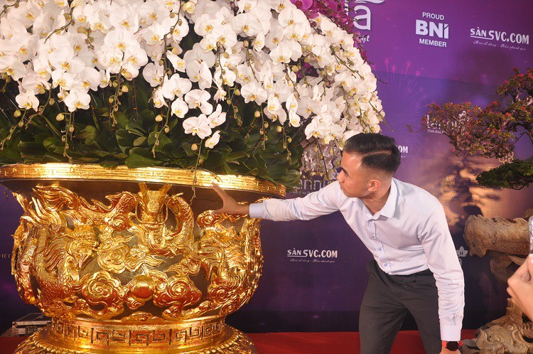 Chậu lan hồ điệp dát vàng đắt nhất Việt Nam, chủ nhân “hét giá” 3,86 tỷ đồng - 2