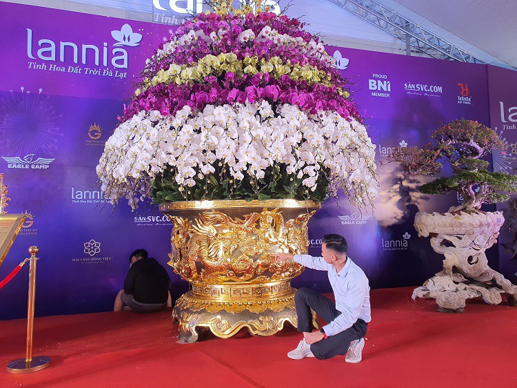 Chậu lan hồ điệp dát vàng đắt nhất Việt Nam, chủ nhân “hét giá” 3,86 tỷ đồng - 5