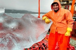 Thế giới - Kiến bộn tiền nhờ thu thập băng tinh khiết 100.000 năm tuổi để bán cho giới nhà giàu Dubai