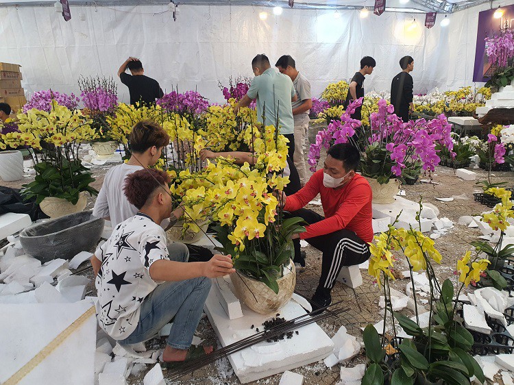 Hàng chục thợ ghép lan đang làm tại một gian hàng bán hoa lan hồ điệp Đà Lạt.