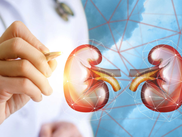 Sức khỏe đời sống - 6 thói quen hằng ngày tàn phá thận của bạn