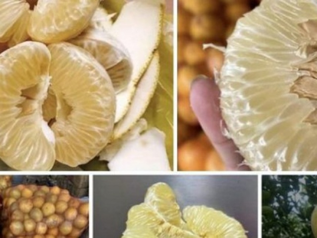 Bưởi Diễn ngon ngọt, ăn như thế nào để giữ dáng, đẹp da và giảm cân hiệu quả?
