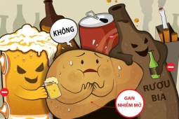 Sức khỏe đời sống - 5 thực phẩm gây tổn thương gan nhiều hơn rượu