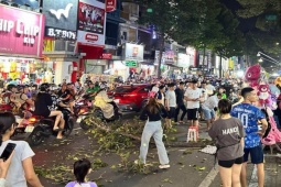 Tin tức trong ngày - TP.HCM: Nhánh cây rơi xuống đường, một người bất tỉnh