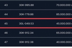 Tin tức trong ngày - Xôn xao khi biển số 49.53 được đấu giá 45 triệu đồng