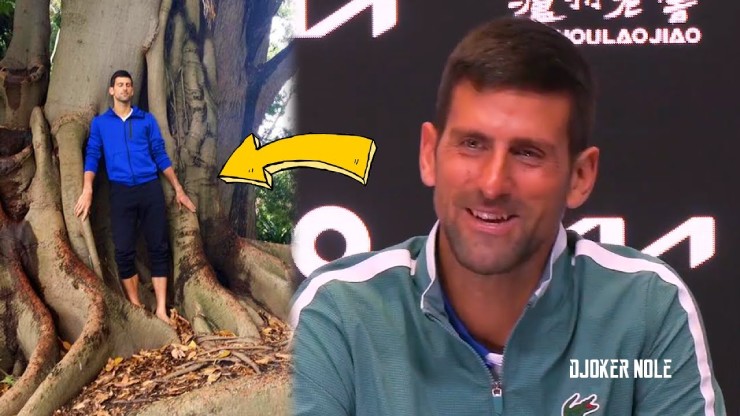 Djokovic "thiền" bên cạnh cây xanh ở Úc để tâm lý được thoải mái hơn