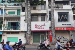 Tin tức trong ngày - TP HCM: Nhánh cây rơi trúng đầu khiến người đàn ông qua đời