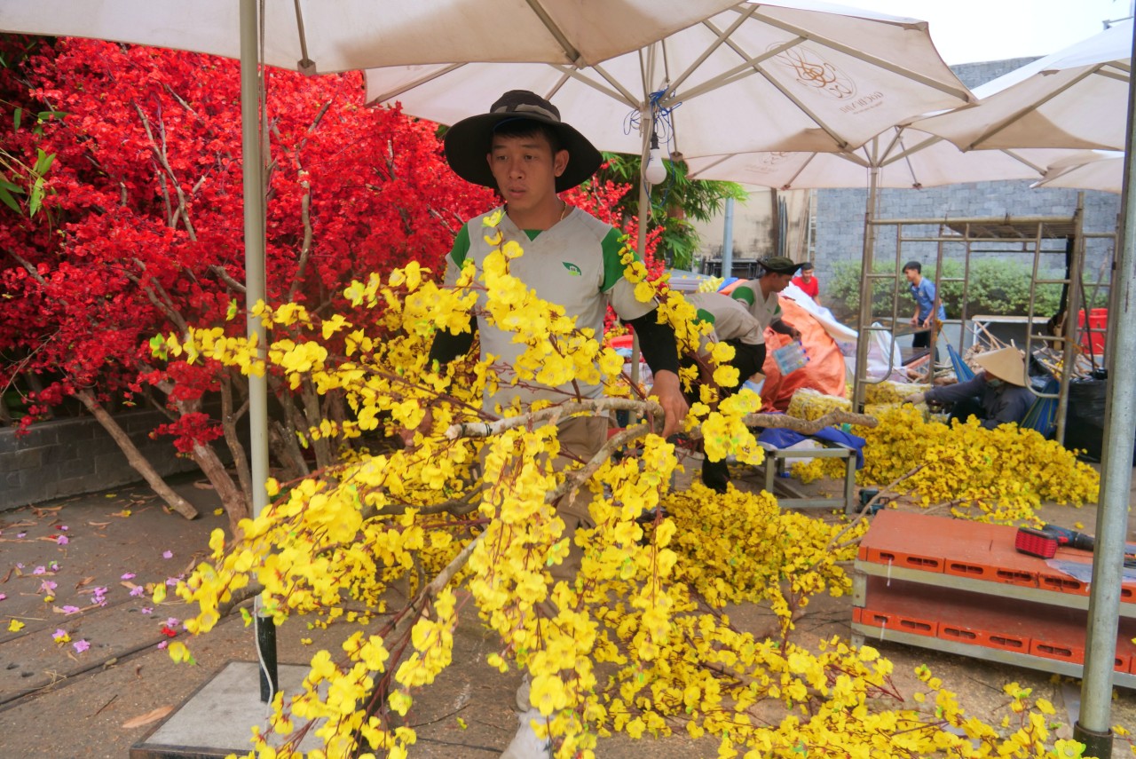 Chỉ còn vài ngày nữa mở cửa đón khách, nên hàng chục công nhân đang hối hả thi công các hạng mục để kịp tiến độ. Trong đó, đường mai vàng dần lộ diện khiến nhiều người dân rất háo hức.