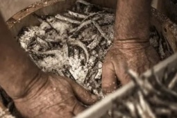 Thị trường - Tiêu dùng - Quốc gia nào trên thế giới cũng sản xuất nước mắm, giá cao "giật mình"?