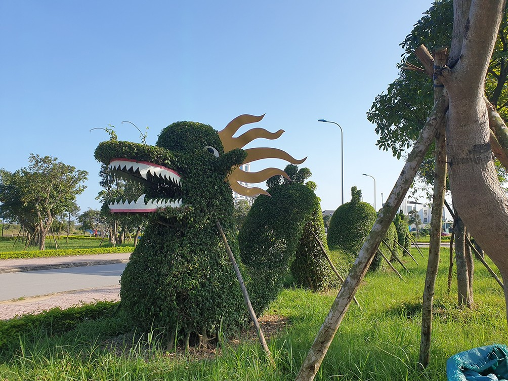 Tranh cãi linh vật rồng tạo hình từ cây xanh ở Quảng Bình - 7