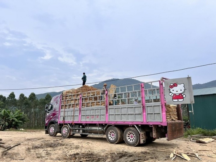 Chủ xe container 