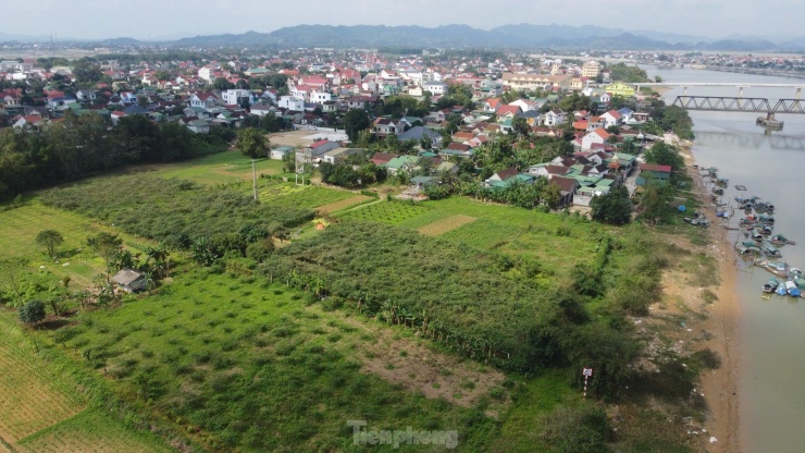 Vườn táo hơn 300 gốc của anh Nguyễn Trung Tính (trú tổ dân phố Đại Thành, thị trấn Đức Thọ, huyện Đức Thọ, tỉnh Hà Tĩnh) được trồng tại khu đất bồi ven sông La.