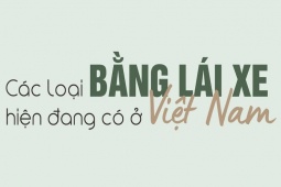 Các loại bằng lái xe hiện nay mà người dân cần biết