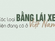 Tin tức ô tô - Các loại bằng lái xe hiện nay mà người dân cần biết