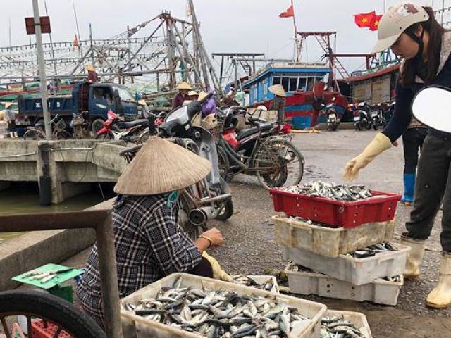 Vụ cá ”khủng” bị xẻ bán ở Thanh Hóa: Không người mua cá sau khi cắt mổ