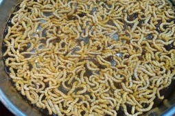 Thị trường - Tiêu dùng - Loài nhung nhúc nhìn sợ nhưng đại bổ, thần dược cho quý ông tiền triệu/kg