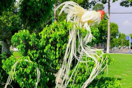 Giống gà "quý tộc" đắt đỏ nhất nhì thế giới, ở Việt Nam bán giá hàng trăm triệu đồng