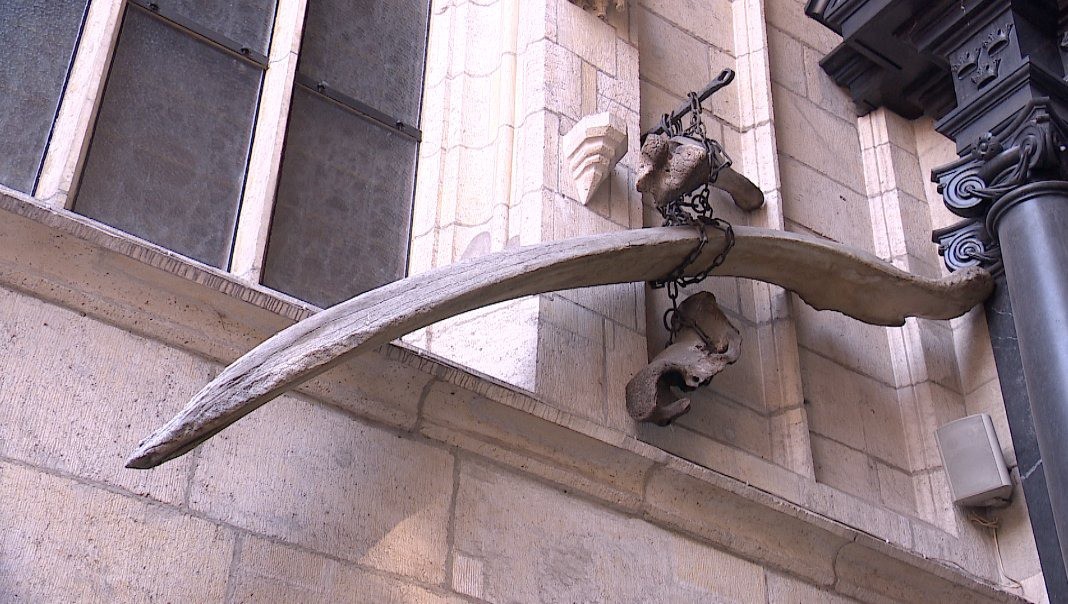 Một hóa thạch xương lớn treo bên ngoài nhà thờ Wawel. Ảnh: X