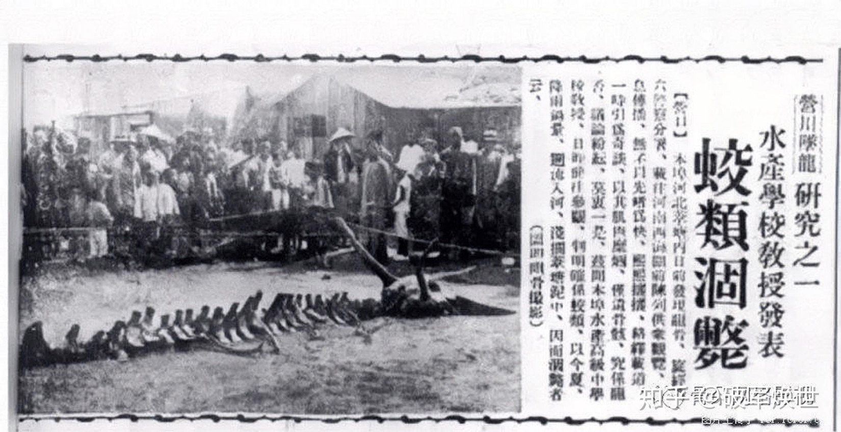 Bức ảnh chụp “xác rồng” ở Doanh Khẩu năm 1934 (ảnh: Sina)